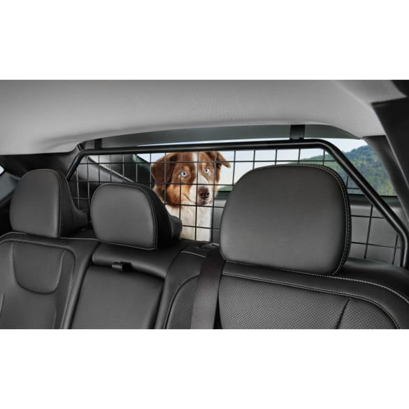 Trenngitter Laderaum Hundegitter KIA EV6 CV Original KIA