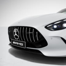 AMG panamericana radiator grille silver chrome AMG GT C192 | C192-Pana-silber