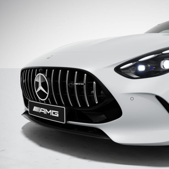 AMG Panamericana Kühlergrill Silberchrom AMG GT C192 | C192-Pana-silber