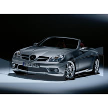 AMG Seitenschweller SLK R171 Mercedes-AMG | B66036255-B