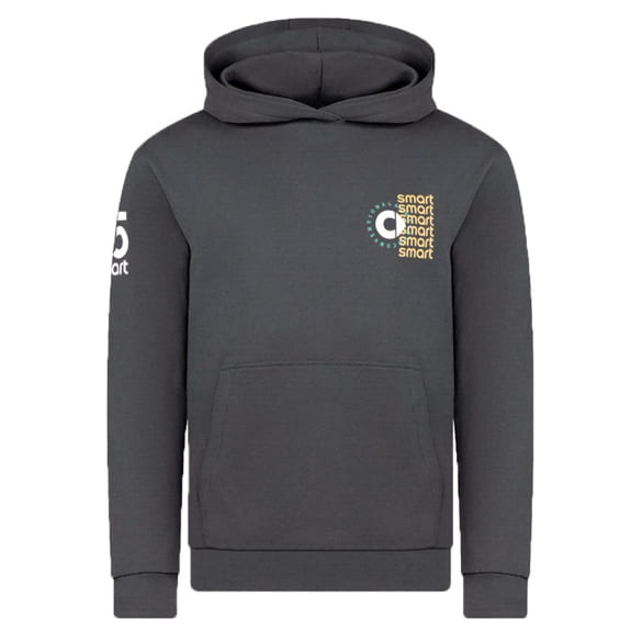 Unisex Hoodie Kapuzenpullover grau #3 Logo Original smart