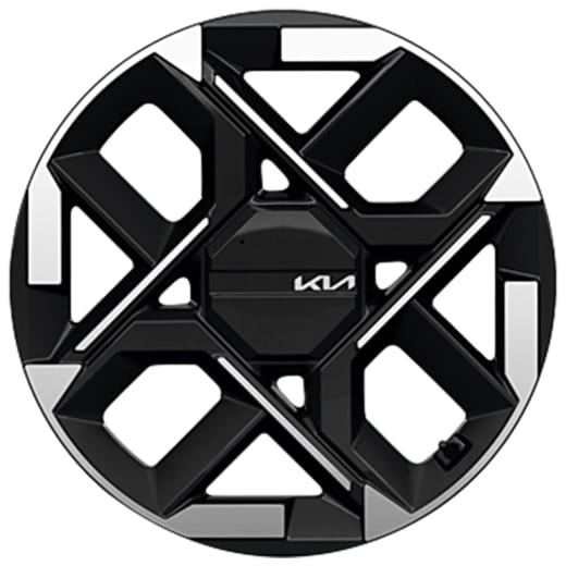 Winterbanden 20 inch Kia EV5 GT Bridgestone Bicolor | WTEV52025554BRXB-B