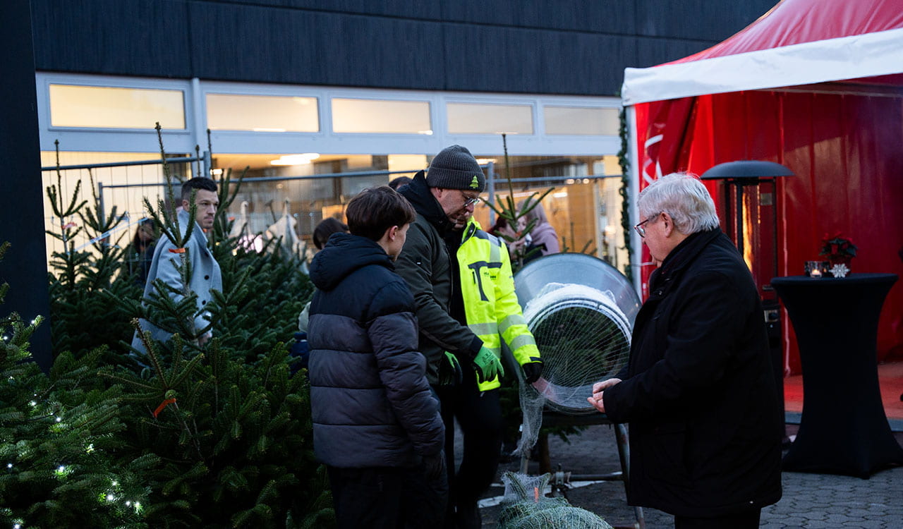 Kunde mit Weihnachtbaum 