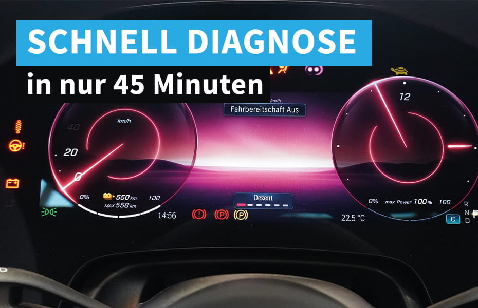 Kunzmann Schnelldiagnose 