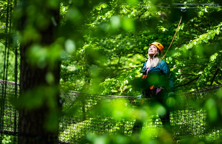 Lorraine im Wald
