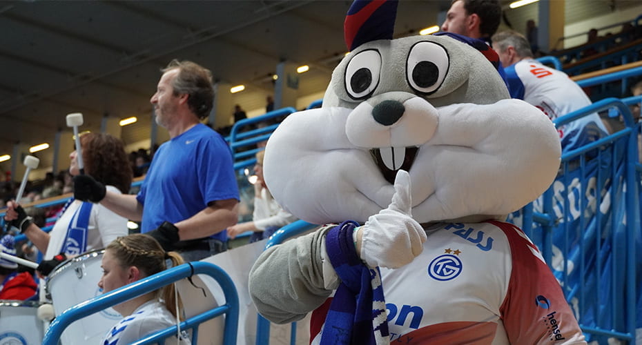 Matchday des TV Großwalstadt in der f.a.n. frankenstolz arena