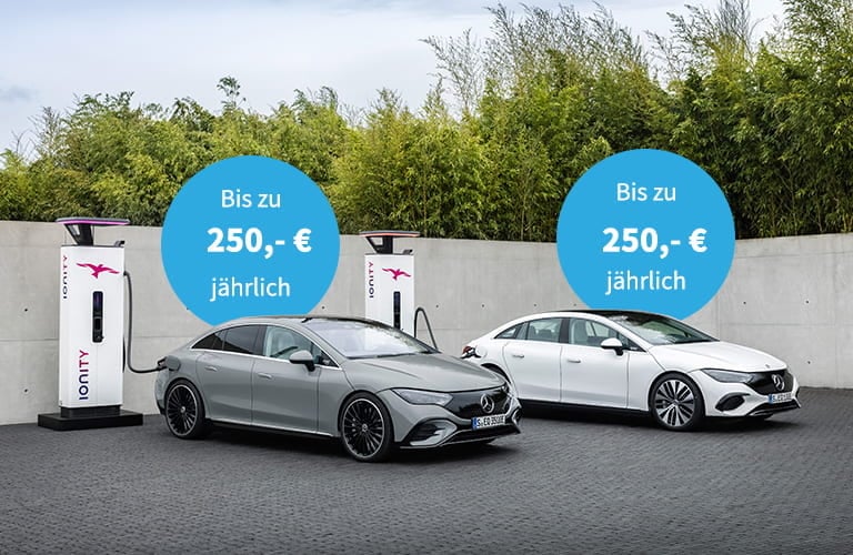Förderung Elektrofahrzeug THG-Quote Förderung Elektrofahrzeug THG-Quote