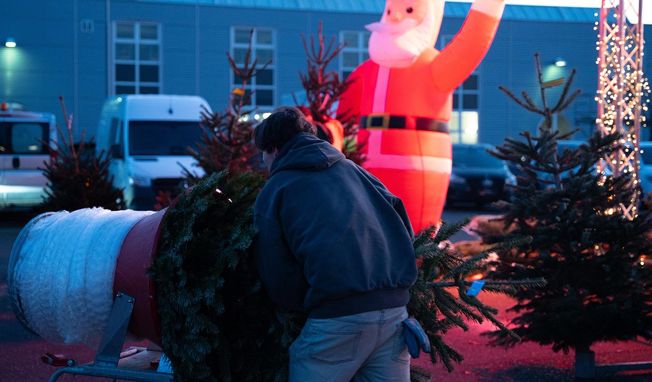 Weihnachtsbaum wird in ein Netz gepackt
