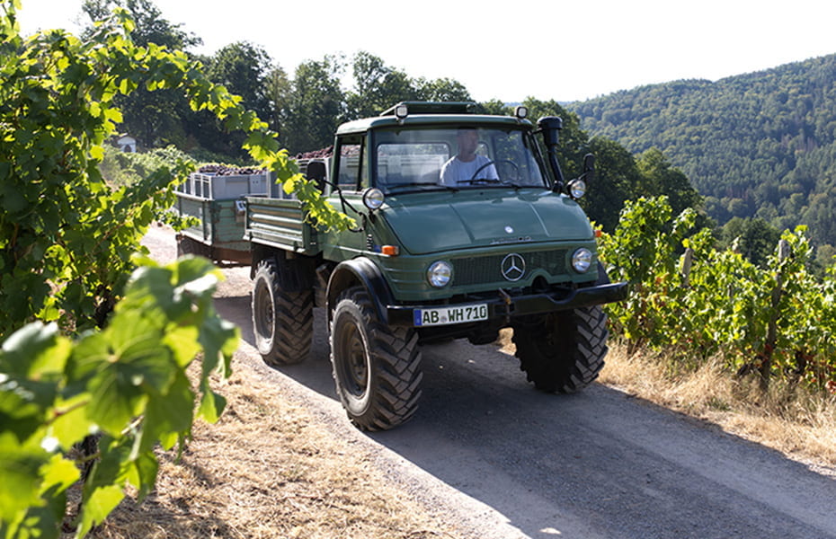 Weingut Höfler