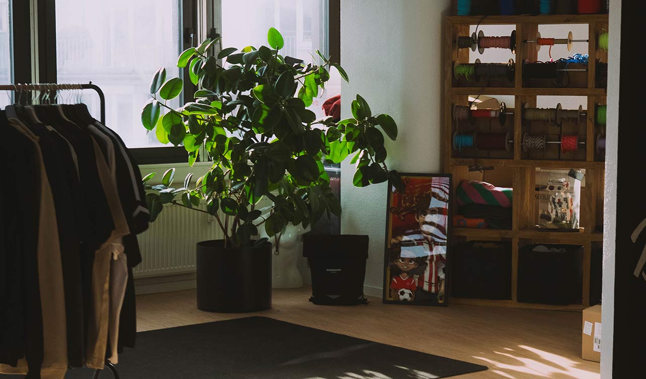 Pflanze und Kleidung im Studio von Tom Bilz