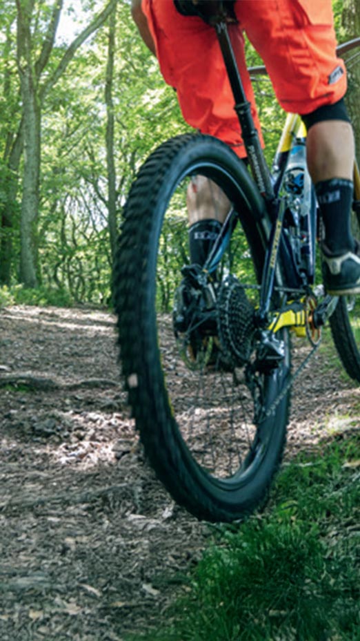 Hinterreifen des Mountainbikes von Pascal Stenger im Wald