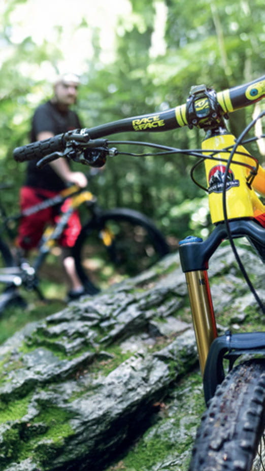 Lenker und Reifen eines Mountainbikes im Wald